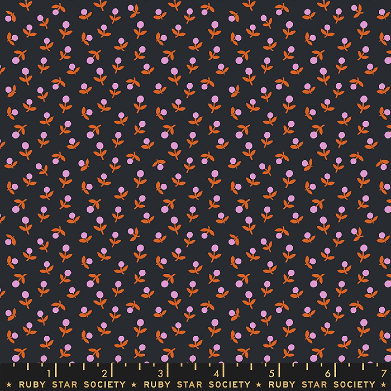 Baumwolle Patchwork -  Alexia Abegg - Ruby Star Society - Meadow Star - Soft Black Sprout